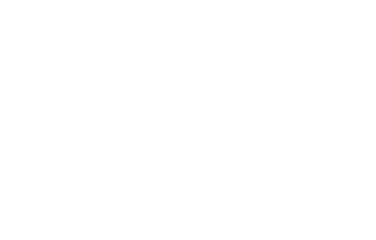 Pulsar Day